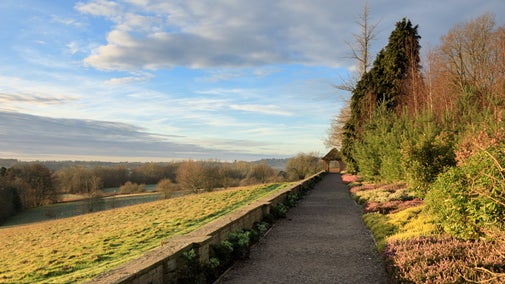 Winter walk lined by heathers